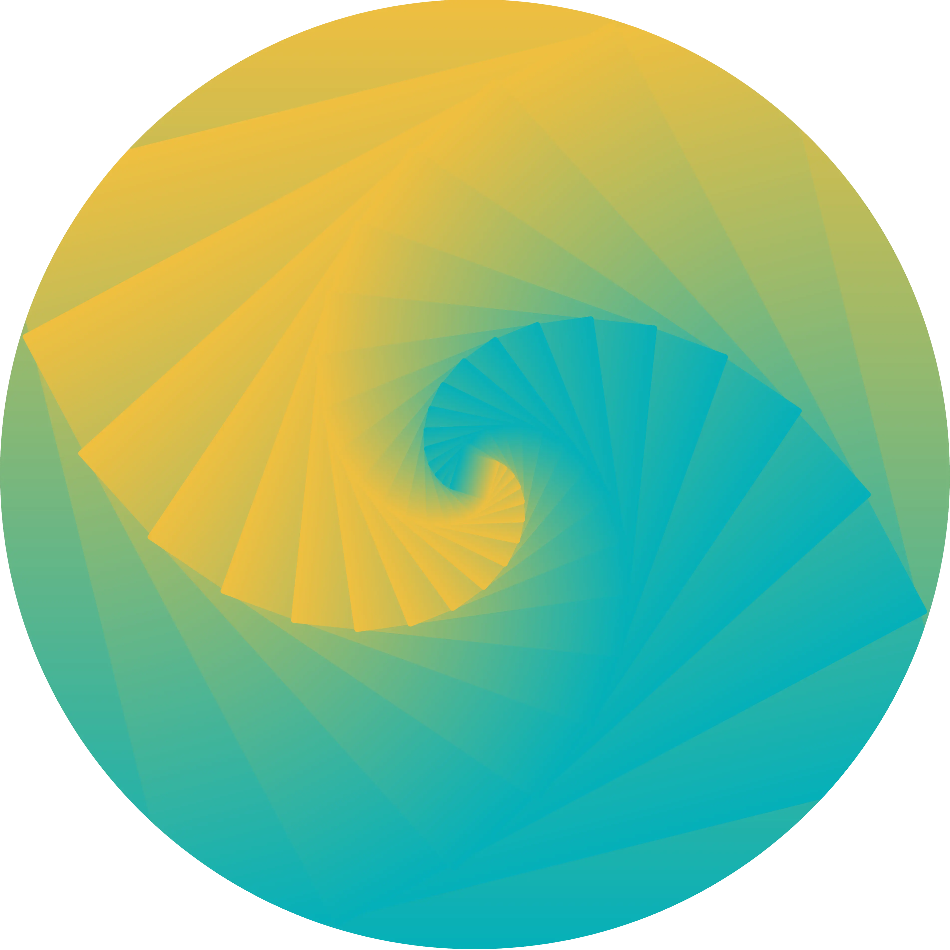 spinner 3